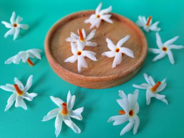 Servis tahtasındaki taze parijat çiçekleri. Çeşitli kullanımları var, hem tıbbi hem de kültürel. Ayurvedic tıpta ateş, öksürük ve soğuk algınlığını tedavi etmek için kullanılır. Çiçekler Hindu ayinlerinde ve tanrılara adak olarak da kullanılır.