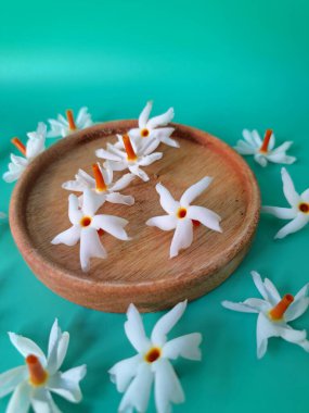 Servis tahtasındaki taze parijat çiçekleri. Çeşitli kullanımları var, hem tıbbi hem de kültürel. Ayurvedic tıpta ateş, öksürük ve soğuk algınlığını tedavi etmek için kullanılır. Çiçekler Hindu ayinlerinde ve tanrılara adak olarak da kullanılır.