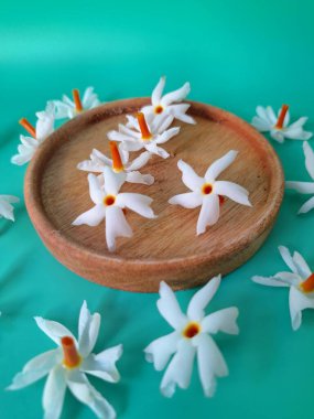 Servis tahtasındaki taze parijat çiçekleri. Çeşitli kullanımları var, hem tıbbi hem de kültürel. Ayurvedic tıpta ateş, öksürük ve soğuk algınlığını tedavi etmek için kullanılır. Çiçekler Hindu ayinlerinde ve tanrılara adak olarak da kullanılır.