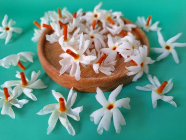 Servis tahtasındaki taze parijat çiçekleri. Çeşitli kullanımları var, hem tıbbi hem de kültürel. Ayurvedic tıpta ateş, öksürük ve soğuk algınlığını tedavi etmek için kullanılır. Çiçekler Hindu ayinlerinde ve tanrılara adak olarak da kullanılır.