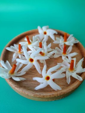 Servis tahtasındaki taze parijat çiçekleri. Çeşitli kullanımları var, hem tıbbi hem de kültürel. Ayurvedic tıpta ateş, öksürük ve soğuk algınlığını tedavi etmek için kullanılır. Çiçekler Hindu ayinlerinde ve tanrılara adak olarak da kullanılır.