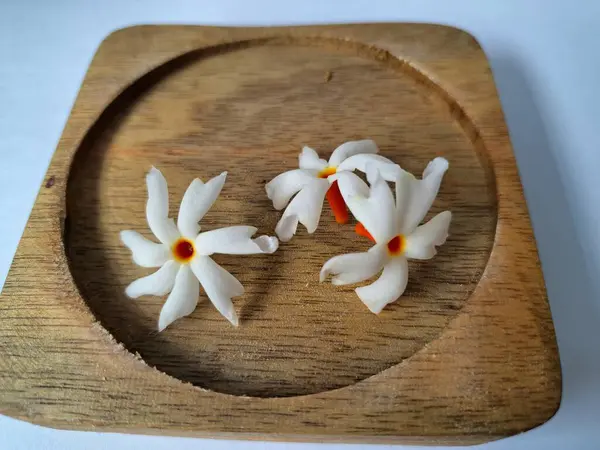 Tahta üzerinde taze parijat çiçekleri. Çeşitli kullanımları var, hem tıbbi hem de kültürel. Ayurvedic tıpta ateş, öksürük ve soğuk algınlığını tedavi etmek için kullanılır. Çiçekler Hindu ayinlerinde ve tanrılara adak olarak da kullanılır.