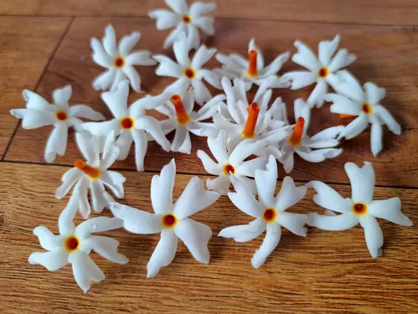 Taze parijat çiçekleri masada. Parijat çiçeğinin çeşitli kullanımları vardır, hem tıbbi hem de kültürel. Ayurvedic tıpta ateş, öksürük ve soğuk algınlığını tedavi etmek için kullanılır. Çiçekler Hindu ayinlerinde ve tanrılara adak olarak da kullanılır.