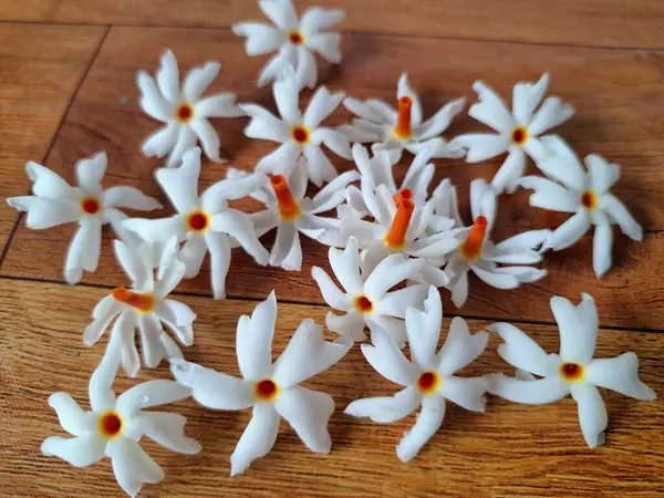 Taze parijat çiçekleri masada. Parijat çiçeğinin çeşitli kullanımları vardır, hem tıbbi hem de kültürel. Ayurvedic tıpta ateş, öksürük ve soğuk algınlığını tedavi etmek için kullanılır. Çiçekler Hindu ayinlerinde ve tanrılara adak olarak da kullanılır.