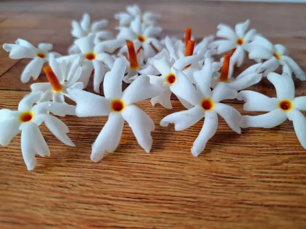 Taze parijat çiçekleri masada. Parijat çiçeğinin çeşitli kullanımları vardır, hem tıbbi hem de kültürel. Ayurvedic tıpta ateş, öksürük ve soğuk algınlığını tedavi etmek için kullanılır. Çiçekler Hindu ayinlerinde ve tanrılara adak olarak da kullanılır.