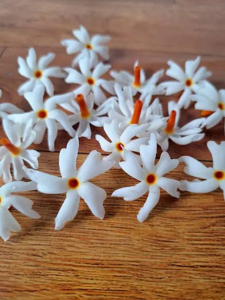 Taze parijat çiçekleri masada. Parijat çiçeğinin çeşitli kullanımları vardır, hem tıbbi hem de kültürel. Ayurvedic tıpta ateş, öksürük ve soğuk algınlığını tedavi etmek için kullanılır. Çiçekler Hindu ayinlerinde ve tanrılara adak olarak da kullanılır.