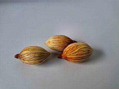 Beyaz arka planda Manila palmiye tohumları. Bu tohum küçük, koyu kahverengi ve oval şekillidir. Sıcak suyla ıslatıldıklarında filizlenmeleri nispeten daha kolaydır. Ve iyi kurutulmuş, nemli bir toprağa ekilirler.