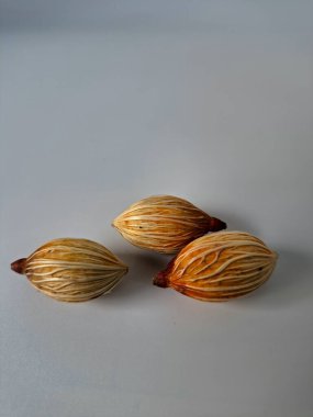 Beyaz arka planda Manila palmiye tohumları. Bu tohum küçük, koyu kahverengi ve oval şekillidir. Sıcak suyla ıslatıldıklarında filizlenmeleri nispeten daha kolaydır. Ve iyi kurutulmuş, nemli bir toprağa ekilirler.