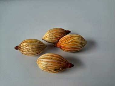 Beyaz arka planda Manila palmiye tohumları. Bu tohum küçük, koyu kahverengi ve oval şekillidir. Sıcak suyla ıslatıldıklarında filizlenmeleri nispeten daha kolaydır. Ve iyi kurutulmuş, nemli bir toprağa ekilirler.