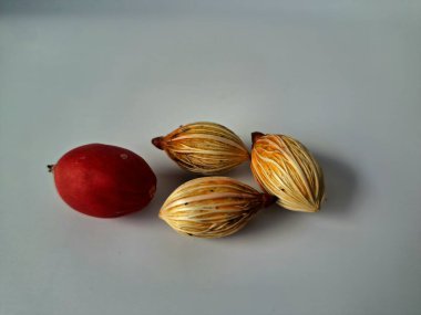 Beyaz arka planda Manila palmiye tohumları. Bu tohum küçük, koyu kahverengi ve oval şekillidir. Sıcak suyla ıslatıldıklarında filizlenmeleri nispeten daha kolaydır. Ve iyi kurutulmuş, nemli bir toprağa ekilirler.