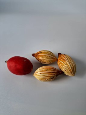 Beyaz arka planda Manila palmiye tohumları. Bu tohum küçük, koyu kahverengi ve oval şekillidir. Sıcak suyla ıslatıldıklarında filizlenmeleri nispeten daha kolaydır. Ve iyi kurutulmuş, nemli bir toprağa ekilirler.