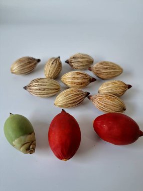 Beyaz arka planda Manila palmiye tohumları. Bu tohum küçük, koyu kahverengi ve oval şekillidir. Sıcak suyla ıslatıldıklarında filizlenmeleri nispeten daha kolaydır. Ve iyi kurutulmuş, nemli bir toprağa ekilirler.