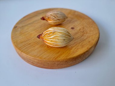 Tahtada Noel ağacı tohumu. Noel tohumlarını filizlendirmek ve hızlı büyümek nispeten kolaydır. Noel mevsiminde olgunlaşan parlak kırmızı meyveleriyle tanınırlar.