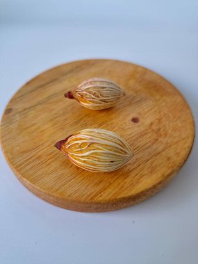 Tahtada Noel ağacı tohumu. Noel tohumlarını filizlendirmek ve hızlı büyümek nispeten kolaydır. Noel mevsiminde olgunlaşan parlak kırmızı meyveleriyle tanınırlar.