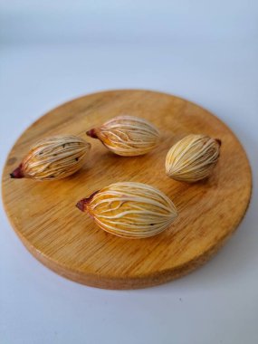 Tahtada Noel ağacı tohumu. Noel tohumlarını filizlendirmek ve hızlı büyümek nispeten kolaydır. Noel mevsiminde olgunlaşan parlak kırmızı meyveleriyle tanınırlar.