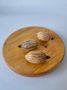 Tahtada Noel ağacı tohumu. Noel tohumlarını filizlendirmek ve hızlı büyümek nispeten kolaydır. Noel mevsiminde olgunlaşan parlak kırmızı meyveleriyle tanınırlar.