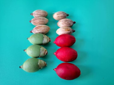 Mavi arka planda Manila palmiye tohumları. Bu tohum küçük, koyu kahverengi ve oval şekillidir. Sıcak suyla ıslatıldıklarında filizlenmeleri nispeten daha kolaydır. Ve iyi kurutulmuş, nemli bir toprağa ekilirler.