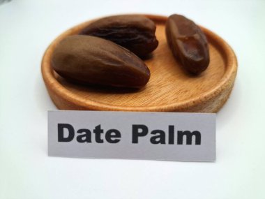 Hurma ağacının tomurcuğundan da yere sarkmış. Hurma ağacının meyveleri, yumuşak ve tatlı sözlüdür. Genellikle ağaçtaki kümelerde bulunurlar ve kahverengiye döndüklerinde ve buruşuklaştıklarında büyük buruşmuş kuru üzümlere benzerler.