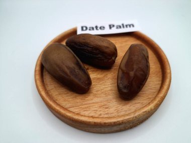 Hurma ağacının tomurcuğundan da yere sarkmış. Hurma ağacının meyveleri, yumuşak ve tatlı sözlüdür. Genellikle ağaçtaki kümelerde bulunurlar ve kahverengiye döndüklerinde ve buruşuklaştıklarında büyük buruşmuş kuru üzümlere benzerler.