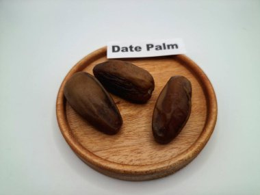 Hurma ağacının tomurcuğundan da yere sarkmış. Hurma ağacının meyveleri, yumuşak ve tatlı sözlüdür. Genellikle ağaçtaki kümelerde bulunurlar ve kahverengiye döndüklerinde ve buruşuklaştıklarında büyük buruşmuş kuru üzümlere benzerler.