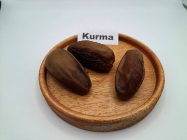 Hurma ağacının tomurcuğundan da yere sarkmış. Hurma ağacının meyveleri, yumuşak ve tatlı sözlüdür. Genellikle ağaçtaki kümelerde bulunurlar ve kahverengiye döndüklerinde ve buruşuklaştıklarında büyük buruşmuş kuru üzümlere benzerler.