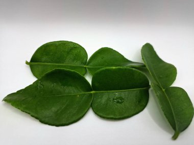 Kafir kireç yaprakları beyaz arka planda izole. Kafir kireç yaprakları (ayrıca Makrut kireç yaprakları olarak da bilinir) belirgin aroması ve aroması olan canlı yeşil, çift katmanlı yapraklardır. Pek çok Güneydoğu Asya mutfağının kilit bileşenlerinden biri.