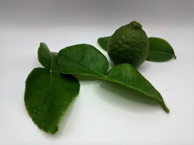 Beyaz arka planda izole edilmiş yeşil kireç ve yapraklar. Kafir kireç yaprakları parlak yeşil, çift katlı yapraklar belirgin, narenciye aromalı ve aromalı. Pek çok Güneydoğu Asya mutfağının kilit bileşenlerinden biri.