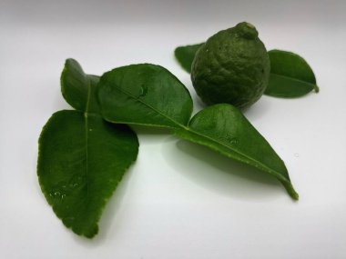 Beyaz arka planda izole edilmiş yeşil kireç ve yapraklar. Kafir kireç yaprakları parlak yeşil, çift katlı yapraklar belirgin, narenciye aromalı ve aromalı. Pek çok Güneydoğu Asya mutfağının kilit bileşenlerinden biri.
