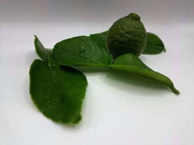 Beyaz arka planda izole edilmiş yeşil kireç ve yapraklar. Kafir kireç yaprakları parlak yeşil, çift katlı yapraklar belirgin, narenciye aromalı ve aromalı. Pek çok Güneydoğu Asya mutfağının kilit bileşenlerinden biri.