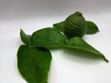 Beyaz arka planda izole edilmiş yeşil kireç ve yapraklar. Kafir kireç yaprakları parlak yeşil, çift katlı yapraklar belirgin, narenciye aromalı ve aromalı. Pek çok Güneydoğu Asya mutfağının kilit bileşenlerinden biri.