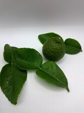 Beyaz arka planda izole edilmiş yeşil kireç ve yapraklar. Kafir kireç yaprakları parlak yeşil, çift katlı yapraklar belirgin, narenciye aromalı ve aromalı. Pek çok Güneydoğu Asya mutfağının kilit bileşenlerinden biri.