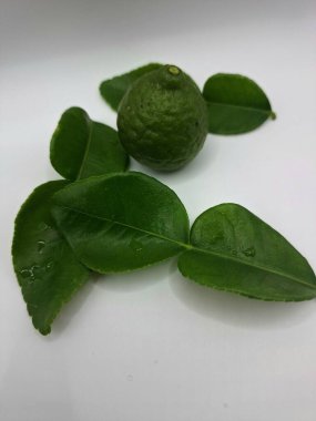 Beyaz arka planda izole edilmiş yeşil kireç ve yapraklar. Kafir kireç yaprakları parlak yeşil, çift katlı yapraklar belirgin, narenciye aromalı ve aromalı. Pek çok Güneydoğu Asya mutfağının kilit bileşenlerinden biri.
