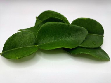 Kafir kireç yaprakları beyaz arka planda izole. Kafir kireç yaprakları (ayrıca Makrut kireç yaprakları olarak da bilinir) belirgin aroması ve aroması olan canlı yeşil, çift katmanlı yapraklardır. Pek çok Güneydoğu Asya mutfağının kilit bileşenlerinden biri.