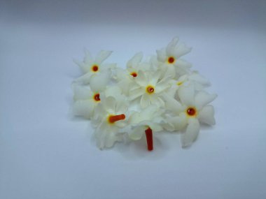 Beyaz arka planda izole edilmiş taze parijat çiçekleri. Çeşitli kullanımları var, hem tıbbi hem de kültürel. Ayurvedic tıpta ateş, öksürük ve soğuk algınlığını tedavi etmek için kullanılır. Çiçekler Hindu ayinlerinde ve tanrılara adak olarak da kullanılır.