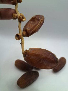 Beyaz arka planda tarihler. Hurma ağacının meyveleri, yumuşak ve tatlı bir ağaçtır. Genellikle ağaçtaki kümelerde bulunurlar ve kahverengiye döndüklerinde ve buruşuklaştıklarında büyük buruşmuş kuru üzümlere benzerler.