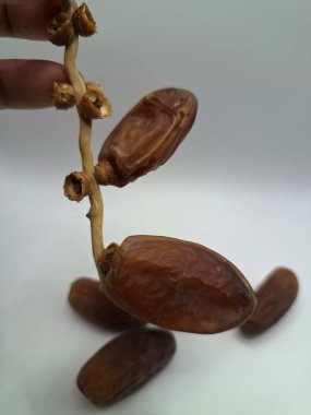 Beyaz arka planda el ele tutuşma tarihleri. Meyveleri salkımlı, salkımlı, salkımlı hurma ağaçları arasındadırlar. Genellikle doğal tatlılıklarıyla bilinirler ve genellikle atıştırmalık olarak ya da çeşitli tariflerde kullanılırlar.