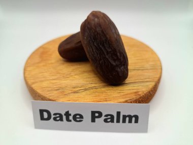 Yuvarlak tahta üzerinde tarihler. Hurma ağacının meyveleri, yumuşak ve tatlı bir ağaçtır. Genellikle ağaçtaki kümelerde bulunurlar ve kahverengiye döndüklerinde ve buruşuklaştıklarında büyük buruşmuş kuru üzümlere benzerler.