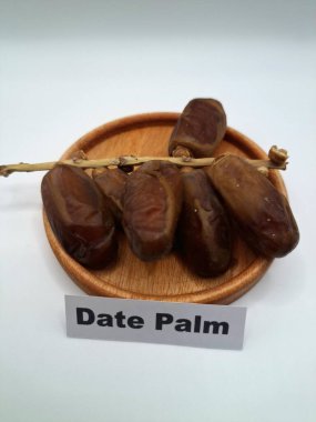 Küçük ahşap bir tabakta meyve. Hurma ağacından sarkan tatlı meyveler. Tek bir tohumla çevrili, tatlı, etli, kahverengi, koyu kahverengi ya da sarı renkli bir meyvedir.
