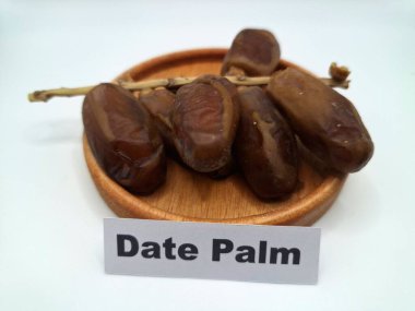 Küçük ahşap bir tabakta meyve. Hurma ağacından sarkan tatlı meyveler. Tek bir tohumla çevrili, tatlı, etli, kahverengi, koyu kahverengi ya da sarı renkli bir meyvedir.