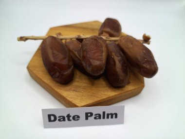 Servis panosundaki tarihler. Meyveleri salkımlı, salkımlı, salkımlı hurma ağaçları arasındadırlar. Genellikle doğal tatlılıklarıyla bilinirler ve genellikle atıştırmalık olarak ya da çeşitli tariflerde kullanılırlar.