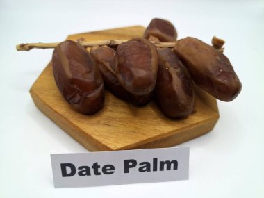 Servis panosundaki tarihler. Meyveleri salkımlı, salkımlı, salkımlı hurma ağaçları arasındadırlar. Genellikle doğal tatlılıklarıyla bilinirler ve genellikle atıştırmalık olarak ya da çeşitli tariflerde kullanılırlar.