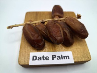 Servis panosundaki tarihler. Meyveleri salkımlı, salkımlı, salkımlı hurma ağaçları arasındadırlar. Genellikle doğal tatlılıklarıyla bilinirler ve genellikle atıştırmalık olarak ya da çeşitli tariflerde kullanılırlar.