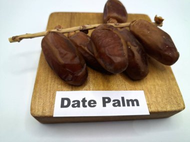 Servis panosundaki tarihler. Meyveleri salkımlı, salkımlı, salkımlı hurma ağaçları arasındadırlar. Genellikle doğal tatlılıklarıyla bilinirler ve genellikle atıştırmalık olarak ya da çeşitli tariflerde kullanılırlar.