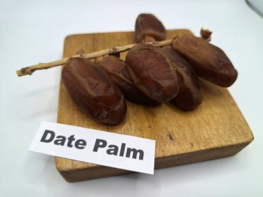 Servis panosundaki tarihler. Meyveleri salkımlı, salkımlı, salkımlı hurma ağaçları arasındadırlar. Genellikle doğal tatlılıklarıyla bilinirler ve genellikle atıştırmalık olarak ya da çeşitli tariflerde kullanılırlar.