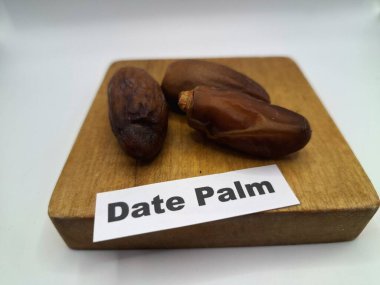 Servis panosundaki tarihler. Meyveleri salkımlı, salkımlı, salkımlı hurma ağaçları arasındadırlar. Genellikle doğal tatlılıklarıyla bilinirler ve genellikle atıştırmalık olarak ya da çeşitli tariflerde kullanılırlar.