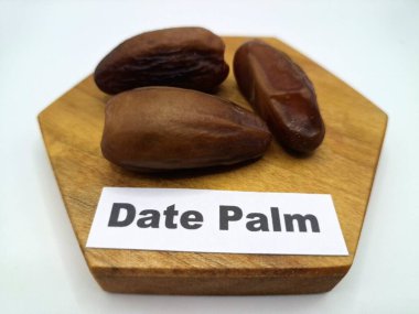 Servis panosundaki tarihler. Meyveleri salkımlı, salkımlı, salkımlı hurma ağaçları arasındadırlar. Genellikle doğal tatlılıklarıyla bilinirler ve genellikle atıştırmalık olarak ya da çeşitli tariflerde kullanılırlar.