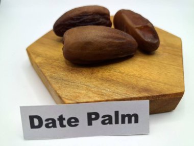 Servis panosundaki tarihler. Meyveleri salkımlı, salkımlı, salkımlı hurma ağaçları arasındadırlar. Genellikle doğal tatlılıklarıyla bilinirler ve genellikle atıştırmalık olarak ya da çeşitli tariflerde kullanılırlar.