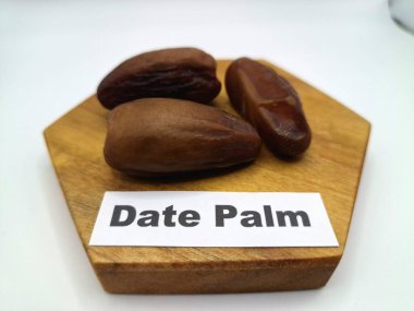 Servis panosundaki tarihler. Meyveleri salkımlı, salkımlı, salkımlı hurma ağaçları arasındadırlar. Genellikle doğal tatlılıklarıyla bilinirler ve genellikle atıştırmalık olarak ya da çeşitli tariflerde kullanılırlar.