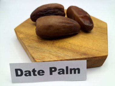 Servis panosundaki tarihler. Meyveleri salkımlı, salkımlı, salkımlı hurma ağaçları arasındadırlar. Genellikle doğal tatlılıklarıyla bilinirler ve genellikle atıştırmalık olarak ya da çeşitli tariflerde kullanılırlar.