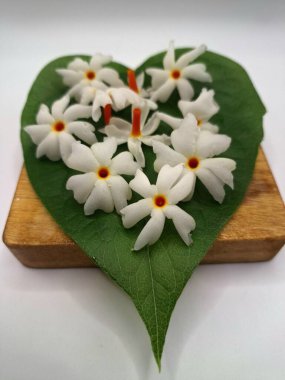 Parijat yaprağı üzerinde parijat çiçeği. Parijat çiçeği, bilimsel olarak Nyctanthes ağaç-tristis olarak bilinen, geceleri çiçek açan, geceleri çiçek açan bir kokulu, beyaz çiçektir.